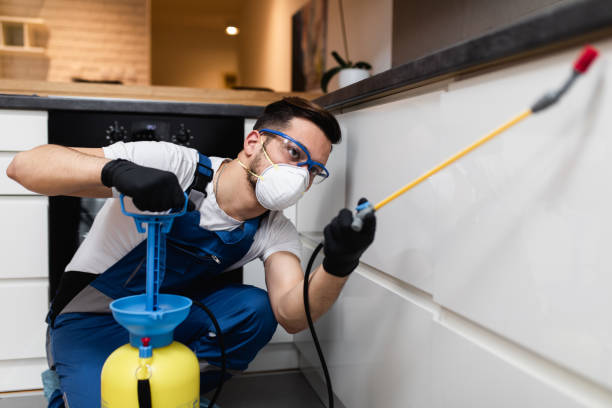 Best Pest Control Near Me in Coos Bay, OR