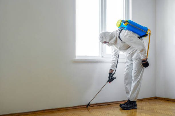 Best Mosquito Control Services  in Coos Bay, OR