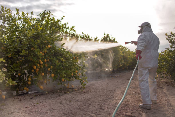 Best Local Pest Control Services  in Coos Bay, OR