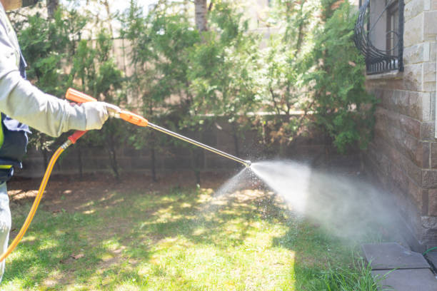 Best Ant Control Services  in Coos Bay, OR