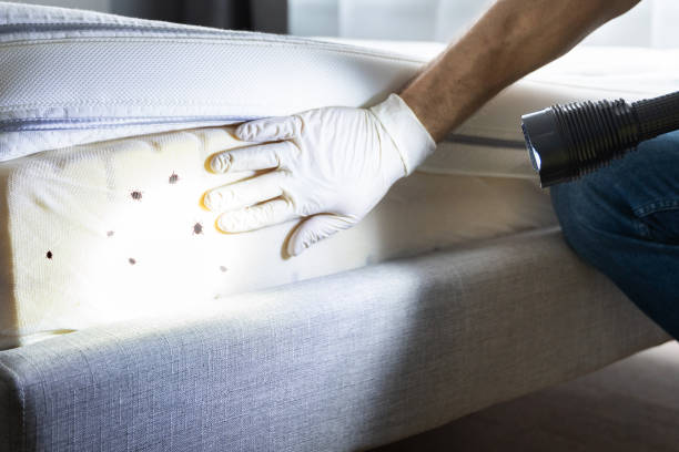 Best Local Pest Control Services  in Coos Bay, OR