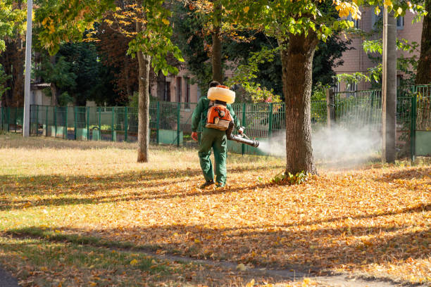 Best Rat Extermination Near Me  in Coos Bay, OR