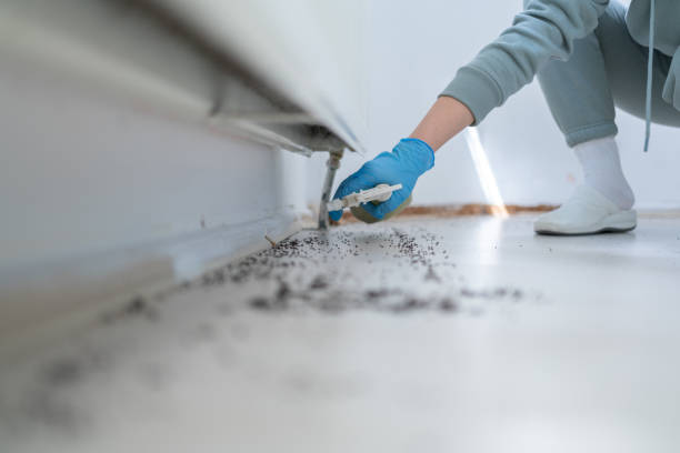 Best Affordable Pest Control Services  in Coos Bay, OR